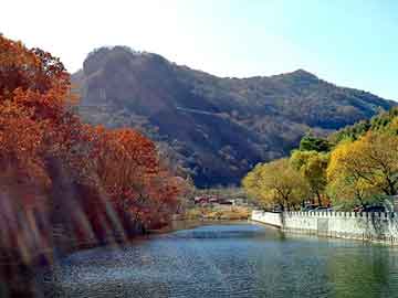 新澳天天开奖资料大全旅游团，氨基磺酸多少钱一吨